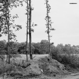 Blumenholz