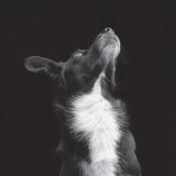 Catchpenny & Cosmos Ep Pt. 2