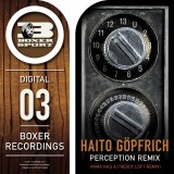 Perception Remix
