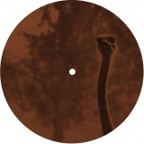 Rauta Ep