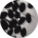 Perfuse Ep