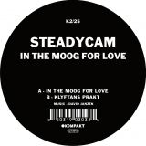 In The Moog For Love