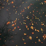 Enjoy The Silence Vol. 1