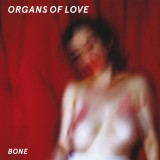 Bone
