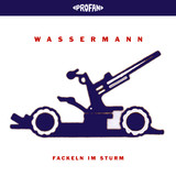 Fackeln Im Sturm
