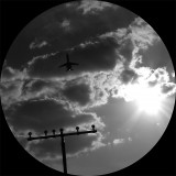 Lisboa Ep